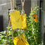 Double sidedStrong Flies Traps Bugs Sticky Board Catching Aphid Insects Killer fly Control Whitefly Thrip Leafminer Glue Sticker - Korvel