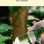 Insecticida en Spray Premium para Flores de Interior
