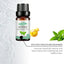 Huile essentielle de menthe pour les soins de la peau et le parfum