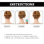 Scalp Care Ball, Repair Skin Moss Scalp Moss Deep Clean And Moisturizing Scalp Care Ball - Korvel