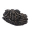 Crawler Toy Shelter Aquarium Fish Tank Ornament