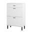 Independent shoe rack storage box with drawers and metal legs, modern shoe cabinet with 2 flippable drawers - Korvel