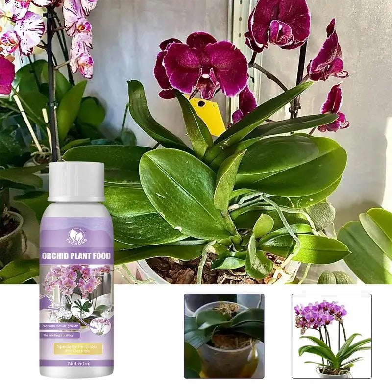 Engrais liquide pour orchidées 50 ml pour des fleurs éclatantes