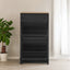 ONTREND Black Shoe Cabinet with 2 Flip Drawers