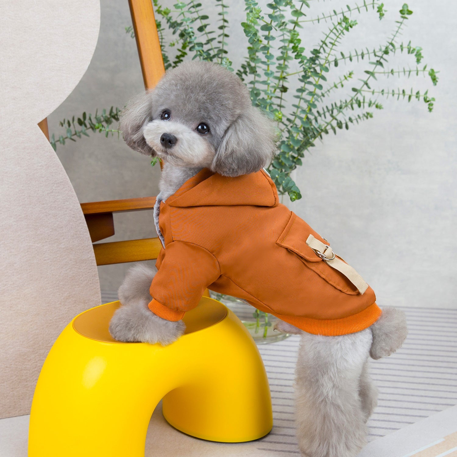 Pet clothes sweaters clothing for dogs teddy cats cool style two legged cotton clothes - Korvel