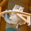 Solid Wood Cat Nest with Suction Cup Climbing Frame