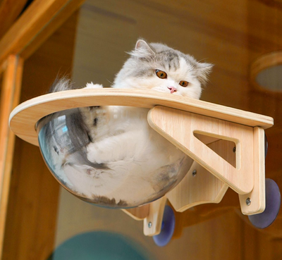 Solid Wood Cat Nest with Suction Cup Climbing Frame