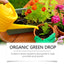 Premium Plant Growth Solution for Vibrant Greenery