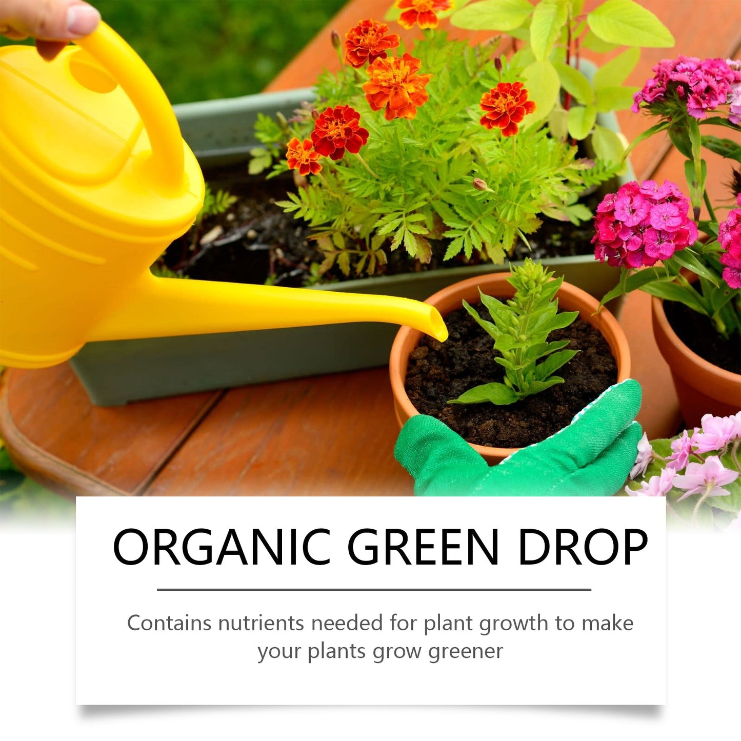 Premium Plant Growth Solution for Vibrant Greenery
