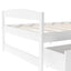 Elegant Twin Size Platform Bed with Two Drawers - White