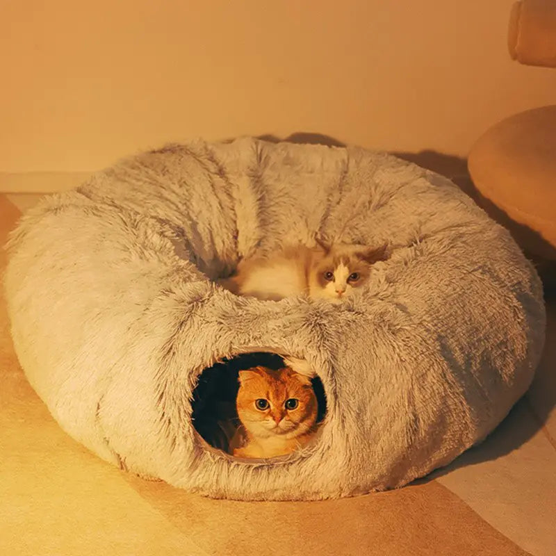 Casa de Camas Acogedora para Gatos para Máximo Confort