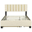 Elegant Queen Size Upholstered Platform Bed with Storage and Trundle