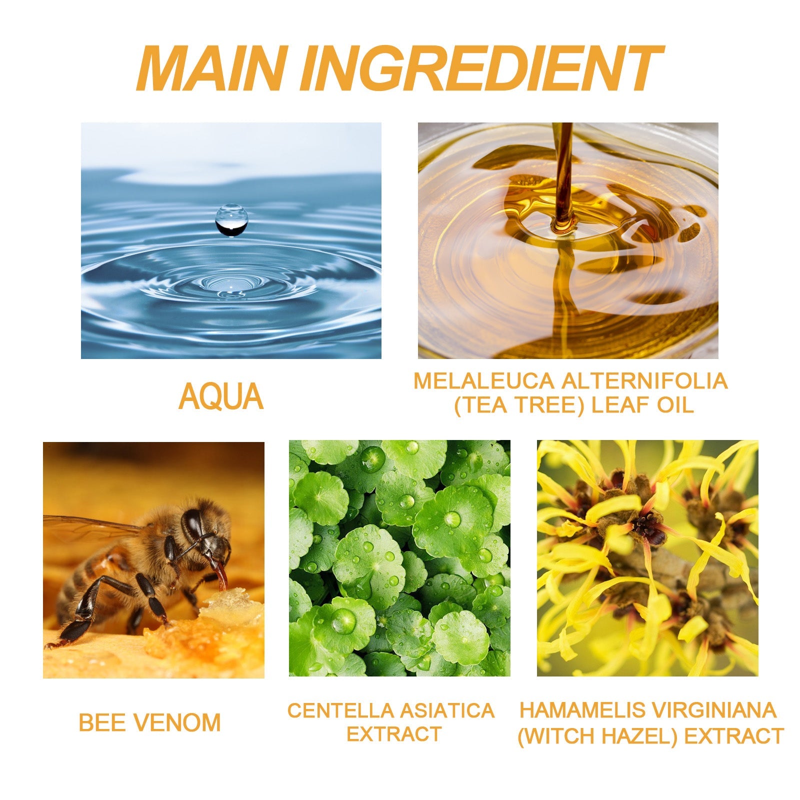 Bee Venom Care Gel, Gently Cleanses Skin And Smoothes Skin Care Gel - Korvel