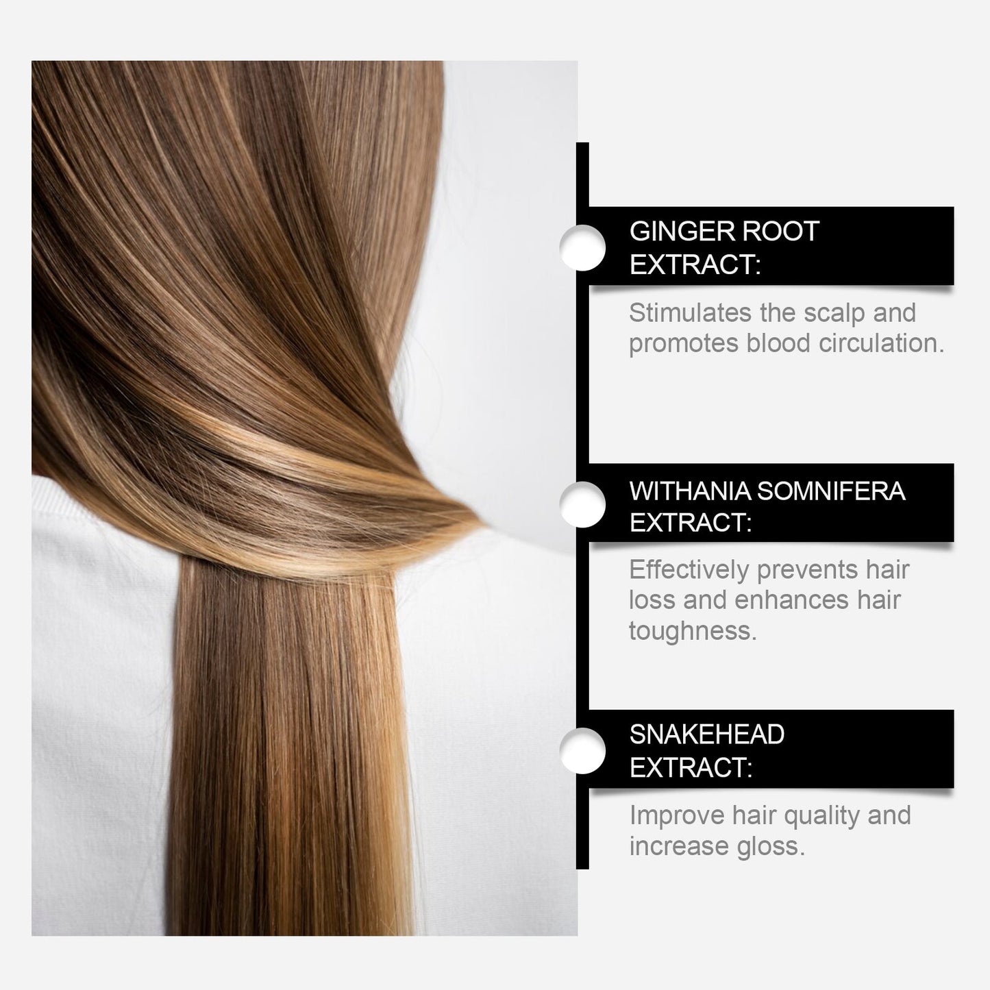 Herbal Hair Care Shampoo Gently Cleanses Scalp And Improves Frizzy Hair Care Shampoo - Korvel