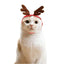 Festive Pet Christmas Costume