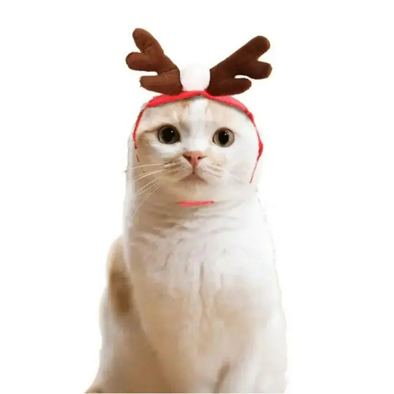 Festive Pet Christmas Costume
