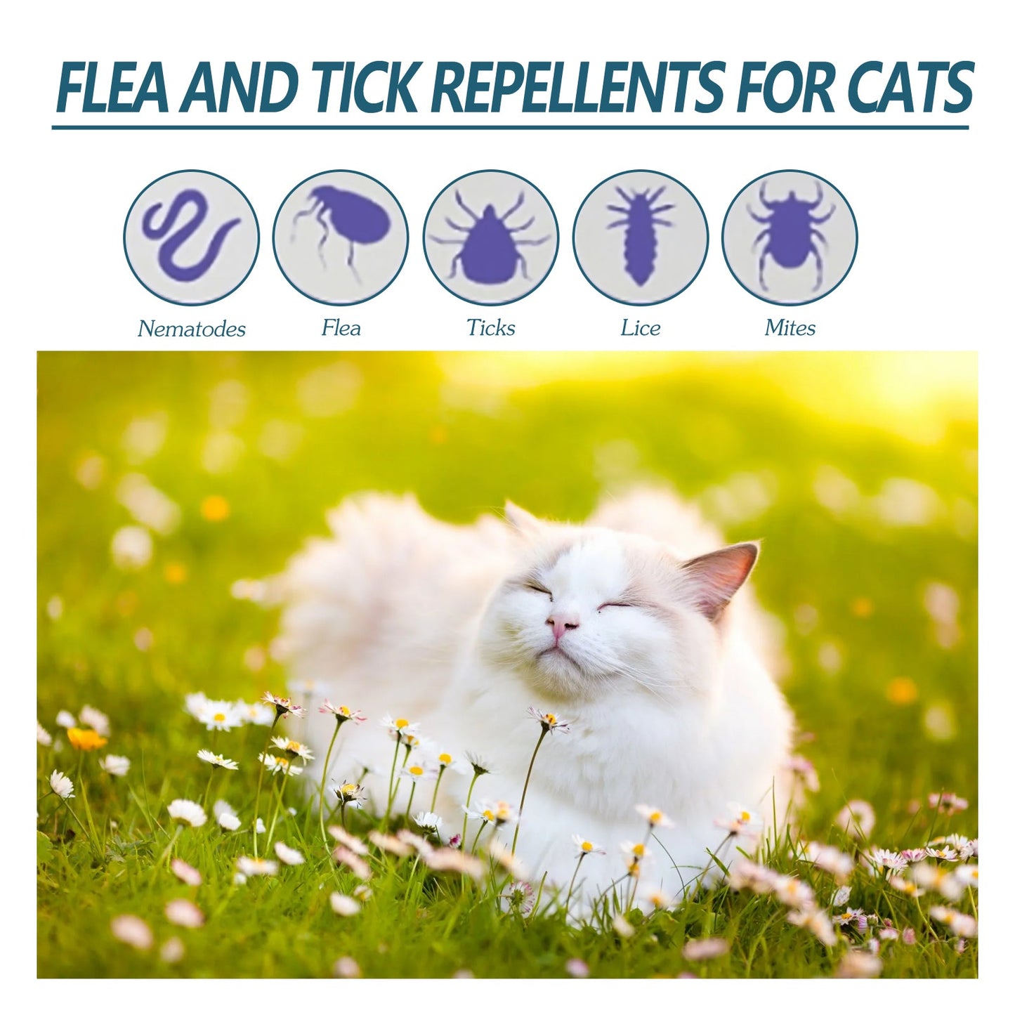Premium Anti-Flea and Tick Drops for Cats and Dogs