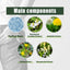 Herbal Hemorrhoid Spray, Relieve Anal Swelling Pain And Itching Discomfort Repair Meat Ball Hemorrhoid Care Spray - Korvel