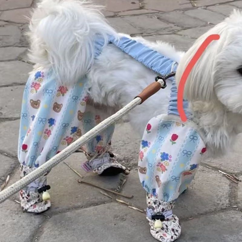 Combinaison d'été premium pour animaux de compagnie avec caractéristiques de protection