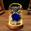 Valentine's Day Gift Everlasting Flower Bear Moss Glass Cover Finished Gift Box for Girlfriend Birthday Ornament Dried Flowers Roses - Korvel