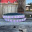 Bling Hat Bands - Korvel