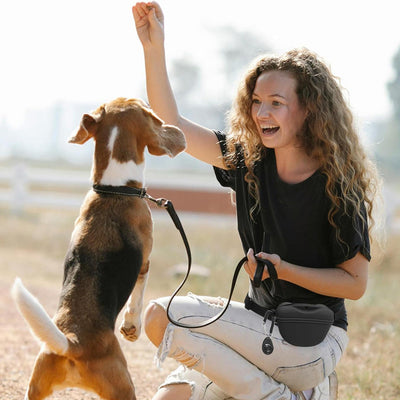 Silicone Dog Training Waist Bag Outdoor Portable Crossbody Pet Snack Pouch - Korvel