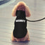 New pet hoodie, outerwear, Security printed hoodie, dog clothing for autumn and winter - Korvel
