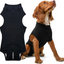Pet sterilization suit wound anti licking suit suitable for all body types of dogs surgical recovery clothing set ﻿ - Korvel