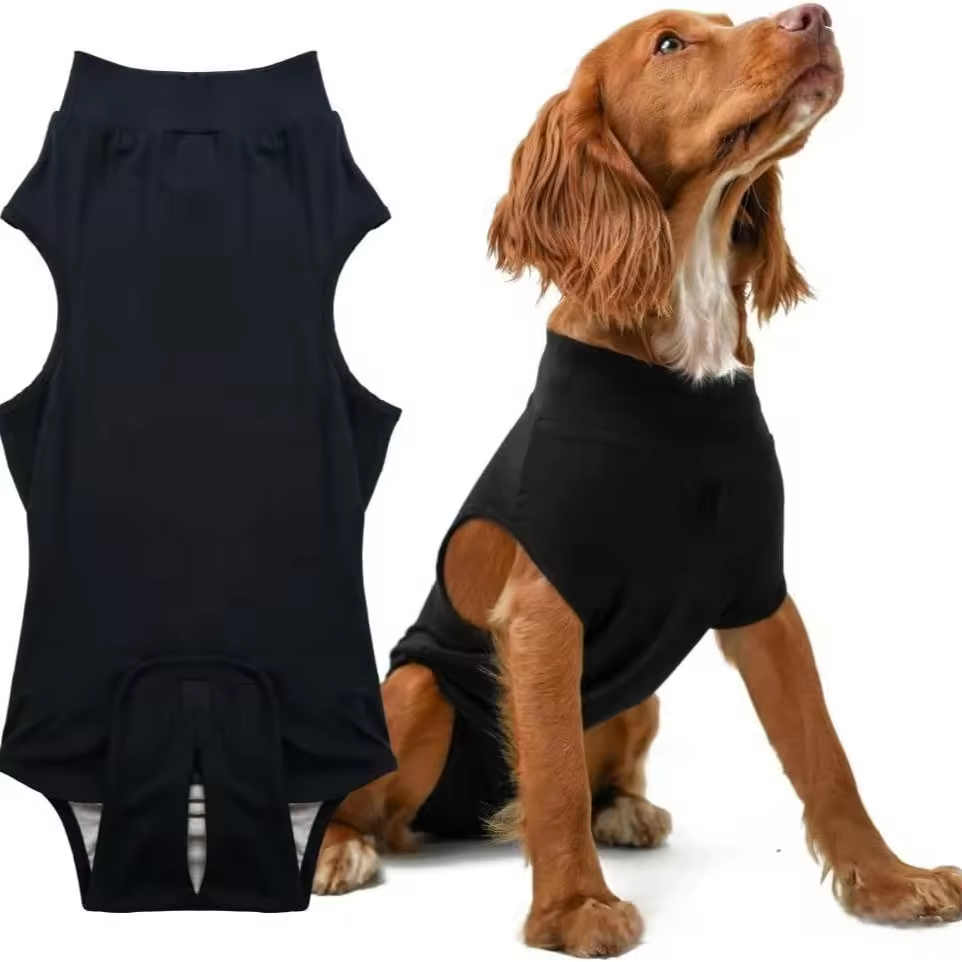 Pet sterilization suit wound anti licking suit suitable for all body types of dogs surgical recovery clothing set ﻿ - Korvel