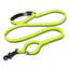 Pet dog leash with elastic cushioning suitable for outdoor activities such as running and waist tying - Korvel