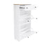ONTREND with 2 flip drawers, top shoe cabinet with drawers, independent shoe rack with adjustable panel, white - Korvel