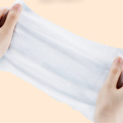 Pet Care Wet Wipes 100 Sheets Dog No-Rinse Cleaning Tissues Cat Eye Care Tear Stain Removal Wipes Wholesale - Korvel
