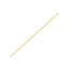 Chaîne Ancre Lite en Or Jaune 14k - 3,00 mm
