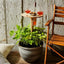 Outdoor Wine Table Foldable Round Desktop Mini Wooden Picnic Table Easy To Carry Wine Rack Support - Korvel