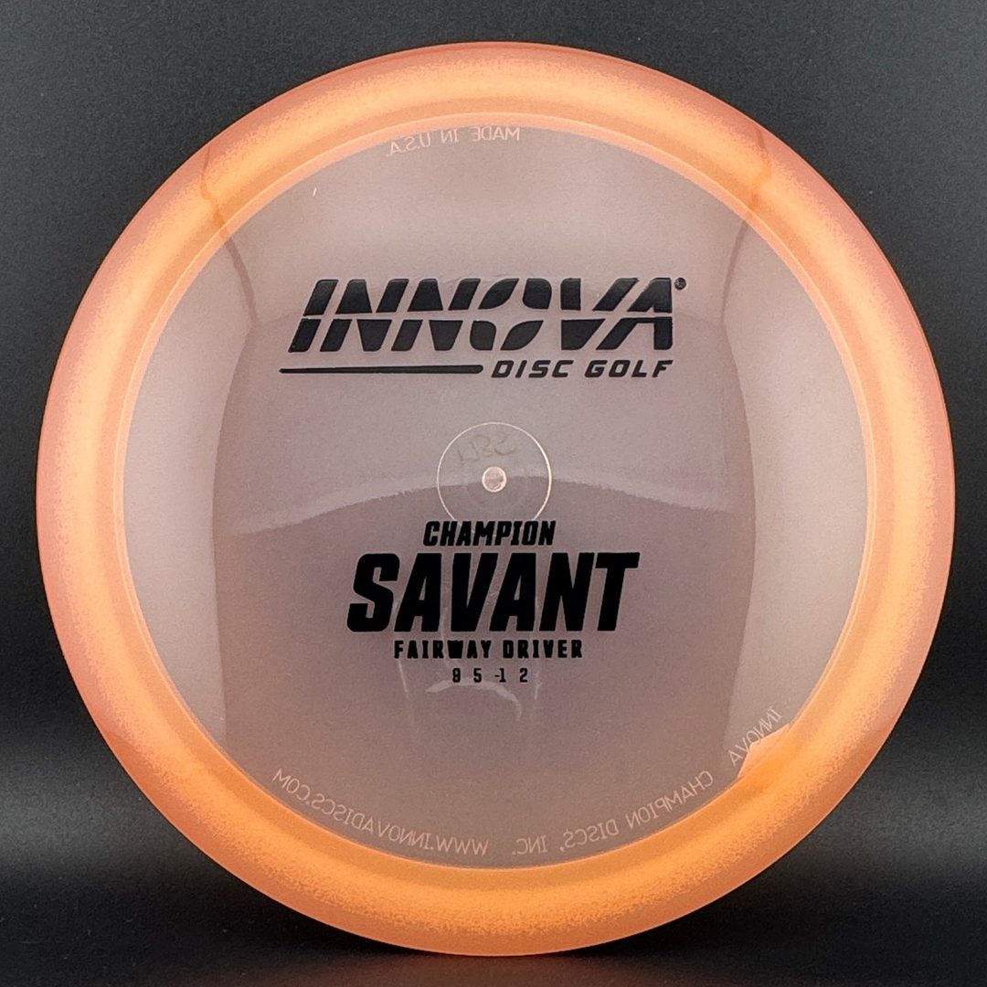 Champion Savant Disc Golf Driver