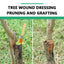 Seedling Tree Wound Sealer Callus Scars Cut Paste Bonsai Pruning Sealer Saw Cuts Coating Tree Wound Healing Paste Tree - Korvel