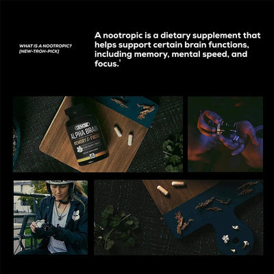 Intelligence Capsule Brain Capsule - Korvel