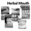 Herbal Mouth Spray, Refreshing Breath Repair Swollen Gums Relieve Oral Ulcer Yang Portable Spray - Korvel