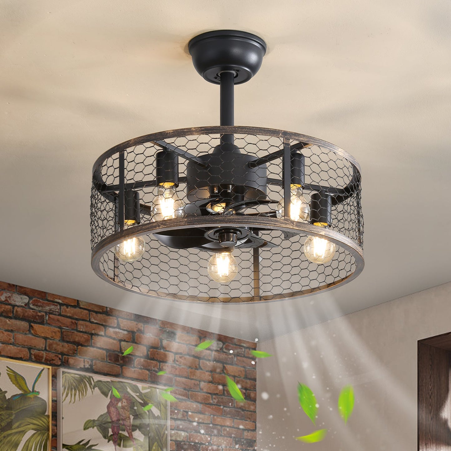 19.7-Inch Classic Ceiling Fan with Light