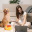 Intelligent Cartoon Dog Automatic Feeder: Large Capacity, Anti - slip, Doubles as Toy & Feeding Utensil - Korvel