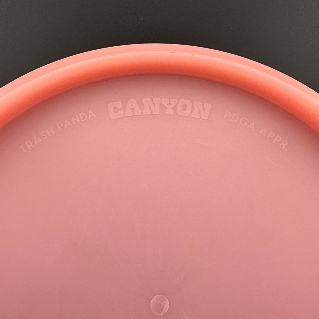 Canyon Disc Golf - Première Course