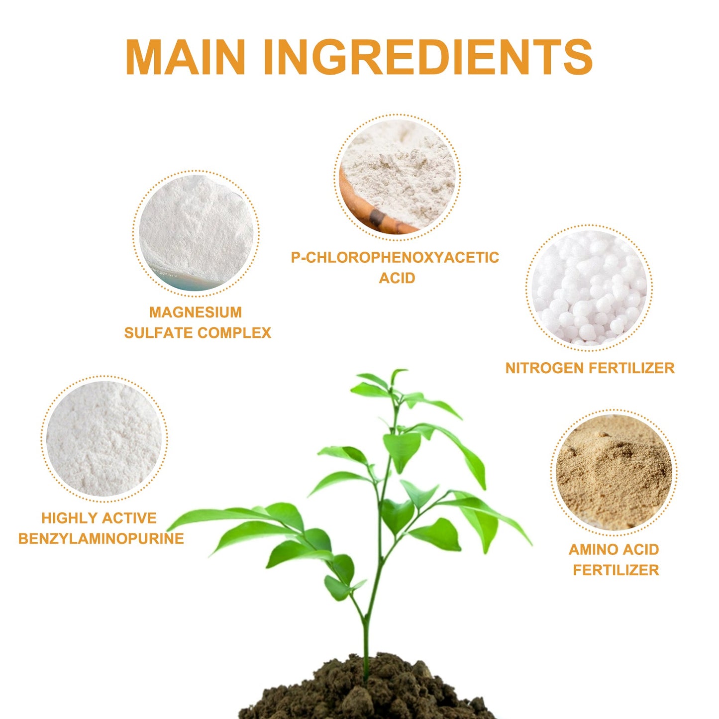 Premium 3-1-2 Liquid Fertilizer Concentrate For Citrus Trees, Orange Fruit Tree Plant Root Green Leaf Beauty Fruit Growth Nutrient Solution - Korvel
