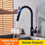 Premium 304 Stainless Steel Kitchen Faucet with Pull-Out Spray