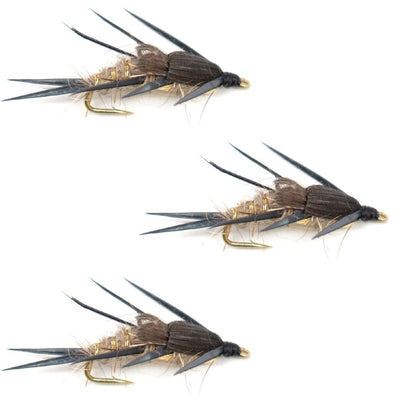 Triple Pack of Double Bead Black Biot Legs Gold Ribbed Hare's Ear Nymphs - Size 10 - Korvel