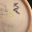 Innova Star Destroyer Disc - Drew Gibson Stash Edition