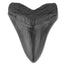 Retro Simulation Shark Teeth Resin Decor