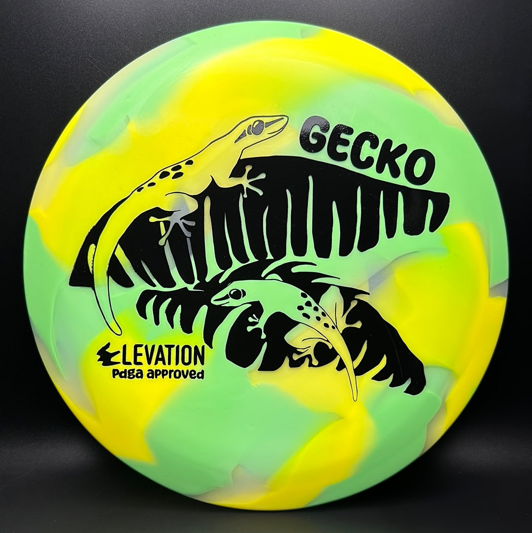 Disco de Golf glO-G Gecko