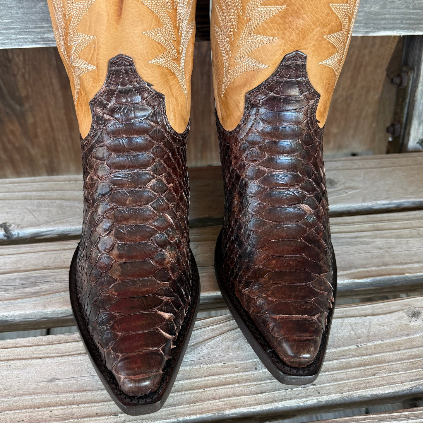 Botas de Python Camila de Stetson para Mujeres