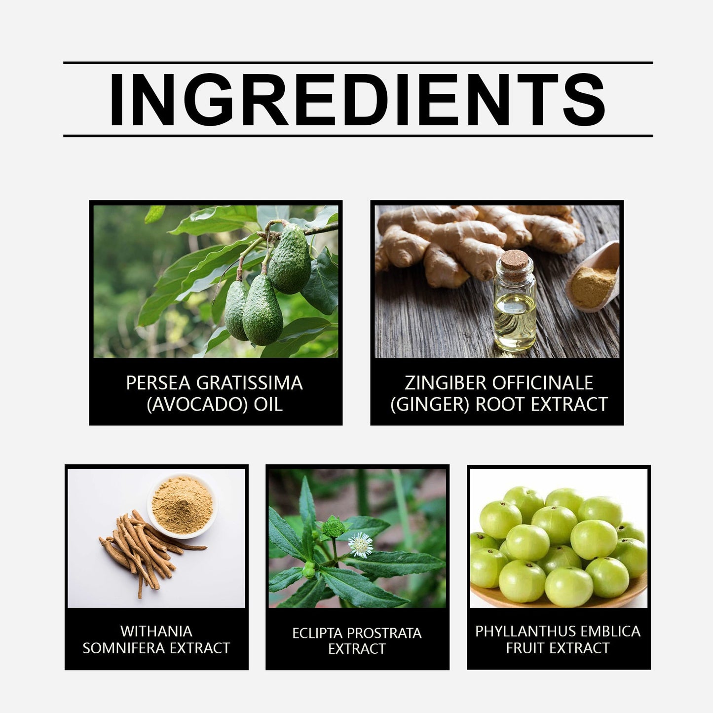 Herbal Hair Care Essential Oil Repair Dry, Hydrating, Smooth And Improve Frizzy Hair Care Essence - Korvel