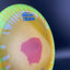 Discraft Fly Dye Z Cicada Fairway Driver